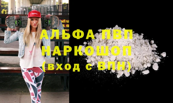 ECSTASY Инта