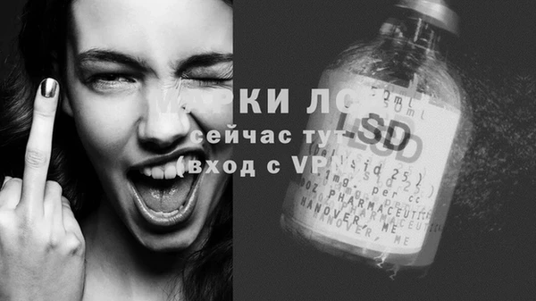 ECSTASY Инта