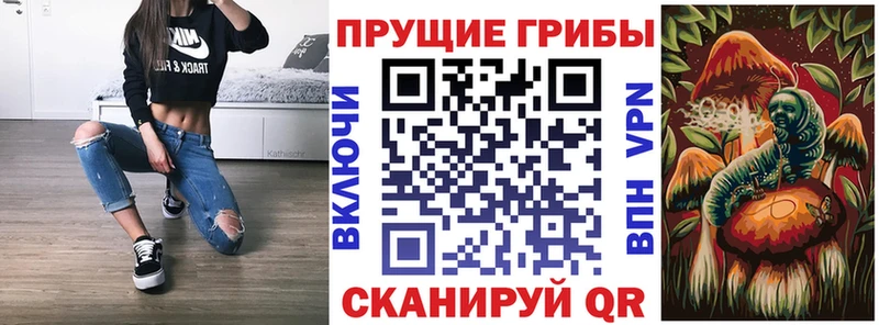 Купить закладки  Канск  Псилоцибиновые грибы MAGIC MUSHROOMS 